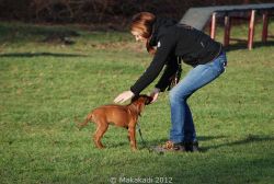 20110105_Makakadi_Mit Frauchen in der Hundeschule_0517